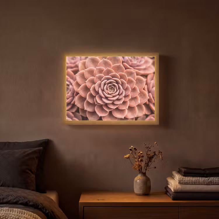 Vetplant - Organisch - Roze Light Box met batterij (Wandlamp) middel -sfeer4