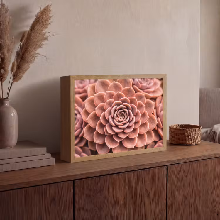 Vetplant - Organisch - Roze Light Box met batterij (Wandlamp) middel -sfeer2