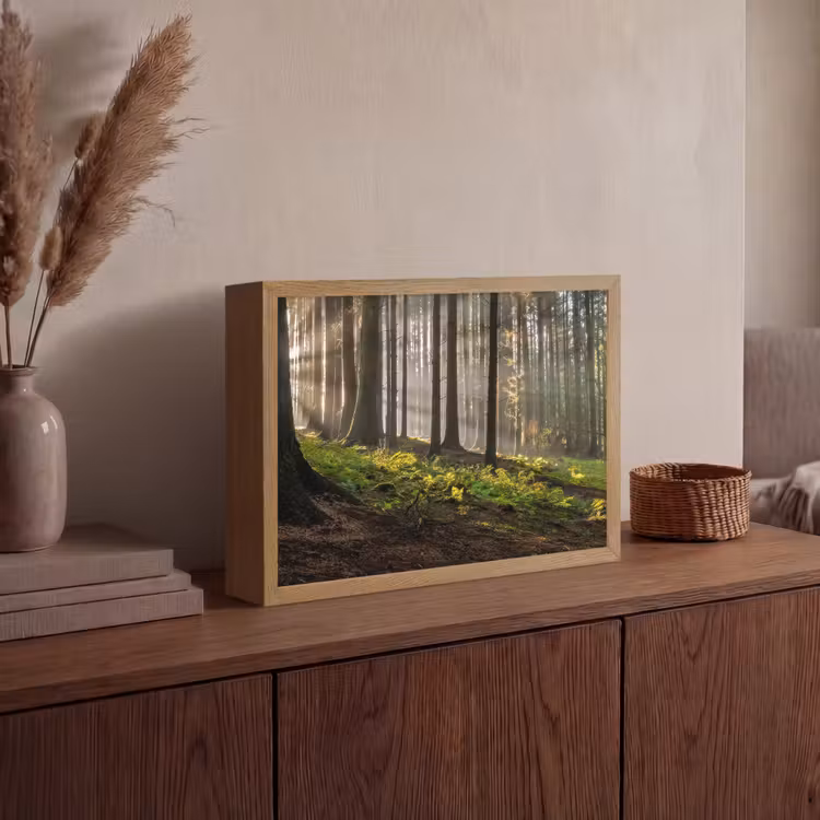 Zon - Takken - Bomen - Bos - Natuur Light Box met batterij (Wandlamp) middel -sfeer2