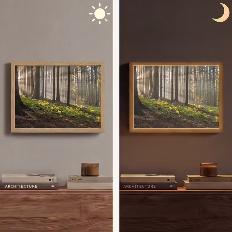 Zon - Takken - Bomen - Bos - Natuur Light Box met batterij (Wandlamp) middel -sfeer3