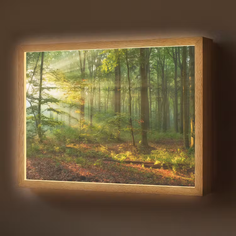 Zon - Bos - Bomen - Natuur - Herfst Light Box met batterij (Wandlamp) middel -z3d_website