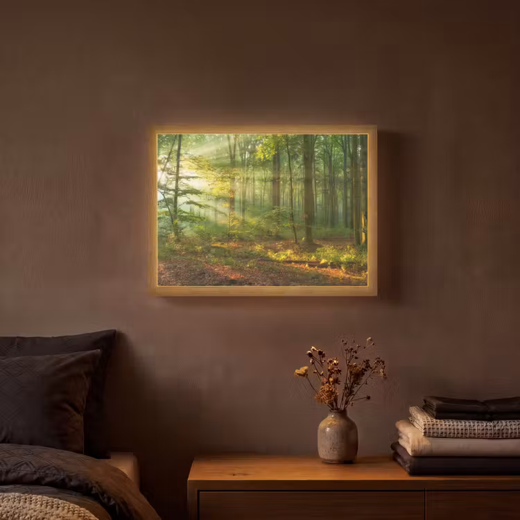 Zon - Bos - Bomen - Natuur - Herfst Light Box met batterij (Wandlamp) middel -sfeer4