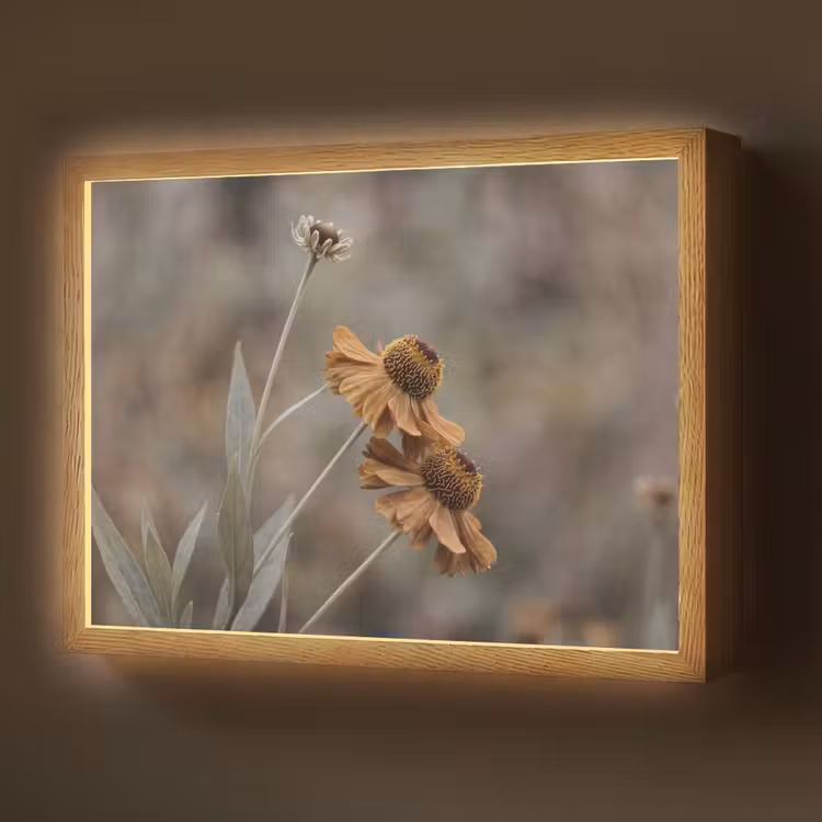 Zonnehoed - Droogbloemen - Geel - Warm Light Box met batterij (Wandlamp) middel -z3d_website