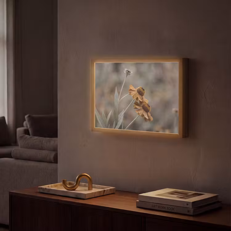 Zonnehoed - Droogbloemen - Geel - Warm Light Box met batterij (Wandlamp) middel -sfeer1