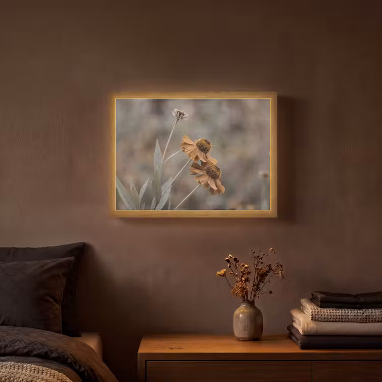 Zonnehoed - Droogbloemen - Geel - Warm Light Box met batterij (Wandlamp) middel -sfeer4