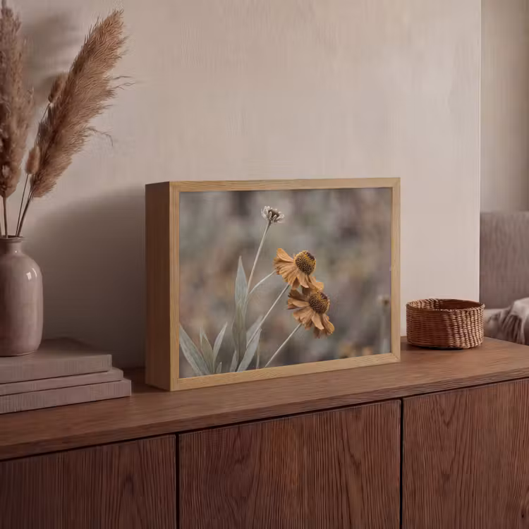 Zonnehoed - Droogbloemen - Geel - Warm Light Box met batterij (Wandlamp) middel -sfeer2