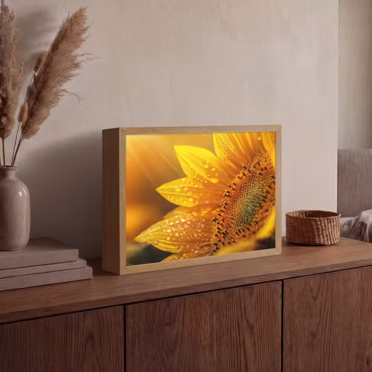 Zonnebloem - Dauwdruppels - Geel - Zonlicht Light Box met batterij (Wandlamp) middel -sfeer2