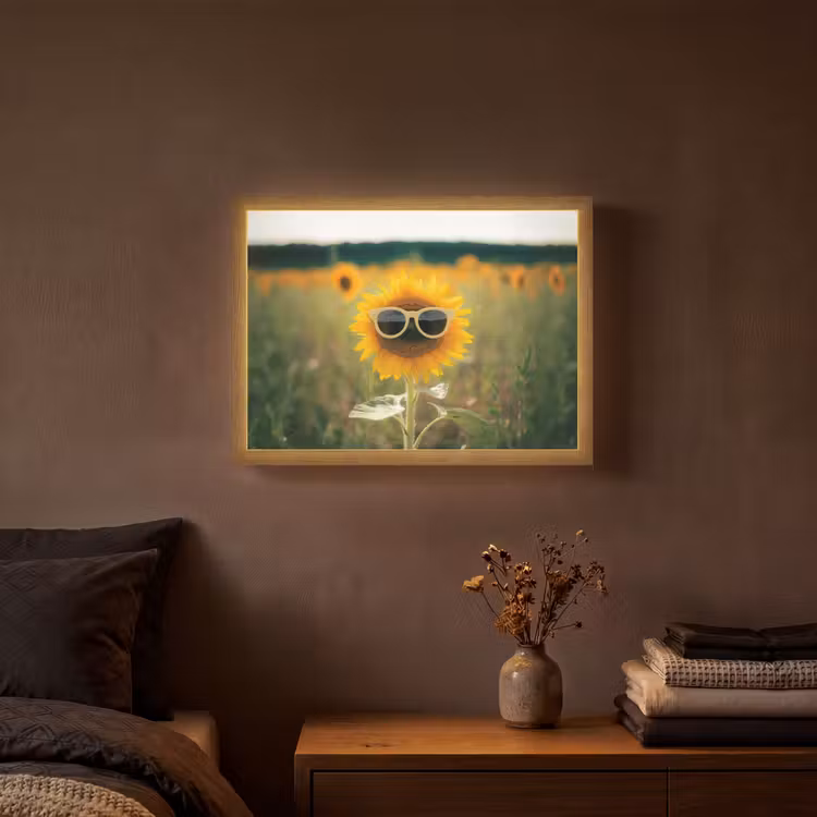 Zonnebloem - Veld - Zonnebril Light Box met batterij (Wandlamp) middel -sfeer4