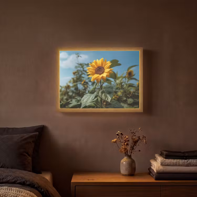 Zonnebloemen - Helderblauwer lucht - Gras Light Box met batterij (Wandlamp) middel -sfeer4