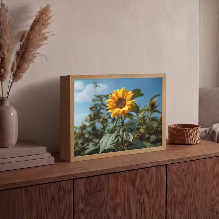 Zonnebloemen - Helderblauwer lucht - Gras Light Box met batterij (Wandlamp) middel -sfeer2