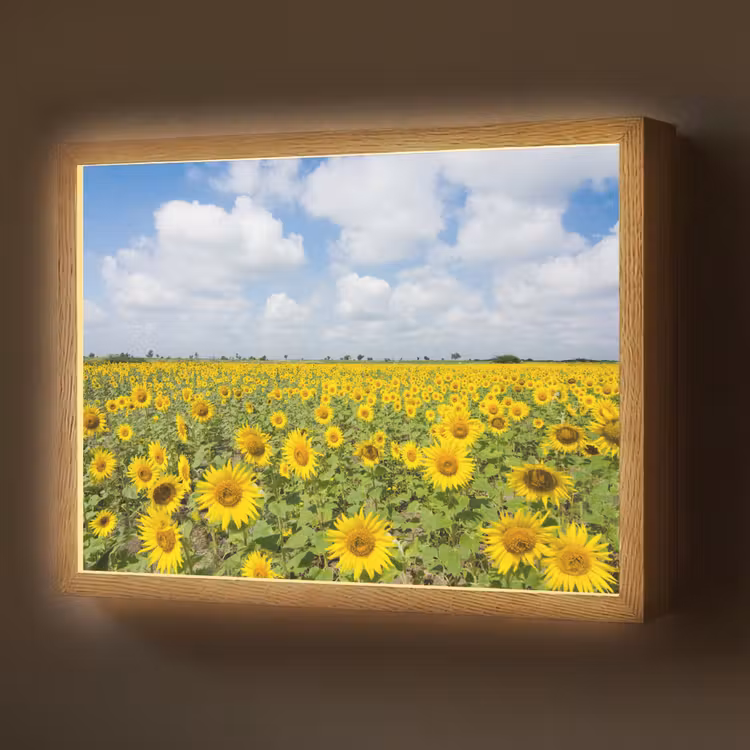 Zonnebloemen - Bloemen - Wolken - Natuur - Geel - Landschap Light Box met batterij (Wandlamp) middel -z3d_website