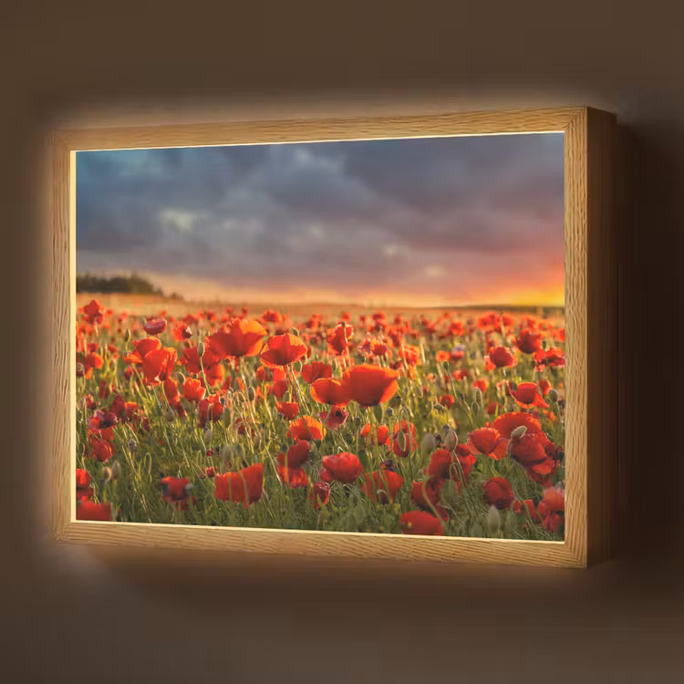 Zonsondergang - Klaprozen - Rood - Bloemen - Veld - Natuur Light Box met batterij (Wandlamp) middel -z3d_website