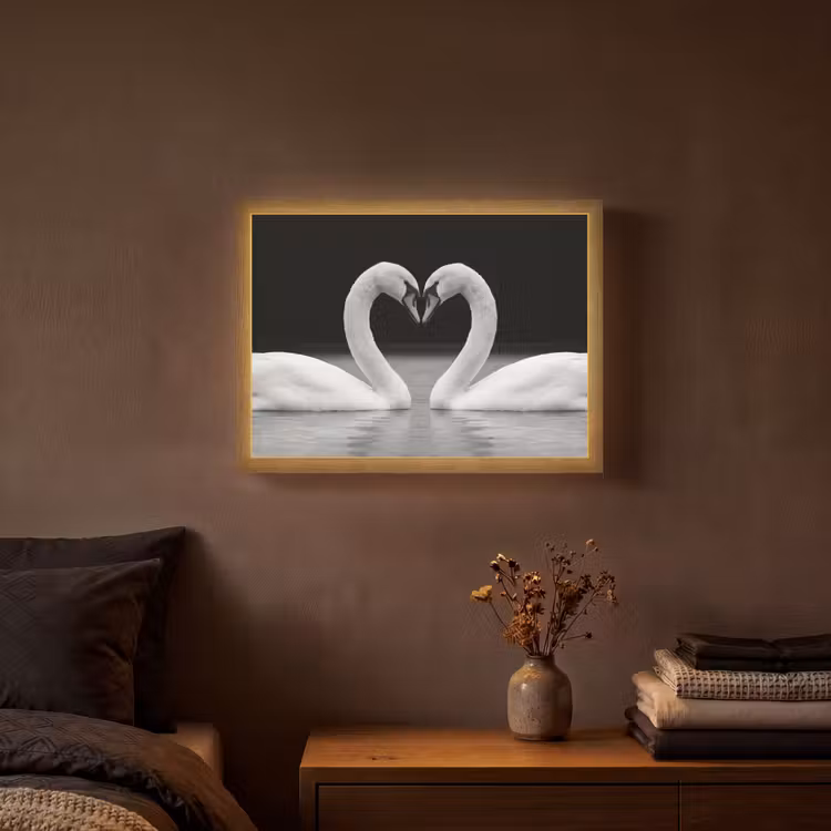 Zwanen - Hart - Zwart - Wit Light Box met batterij (Wandlamp) middel -sfeer4
