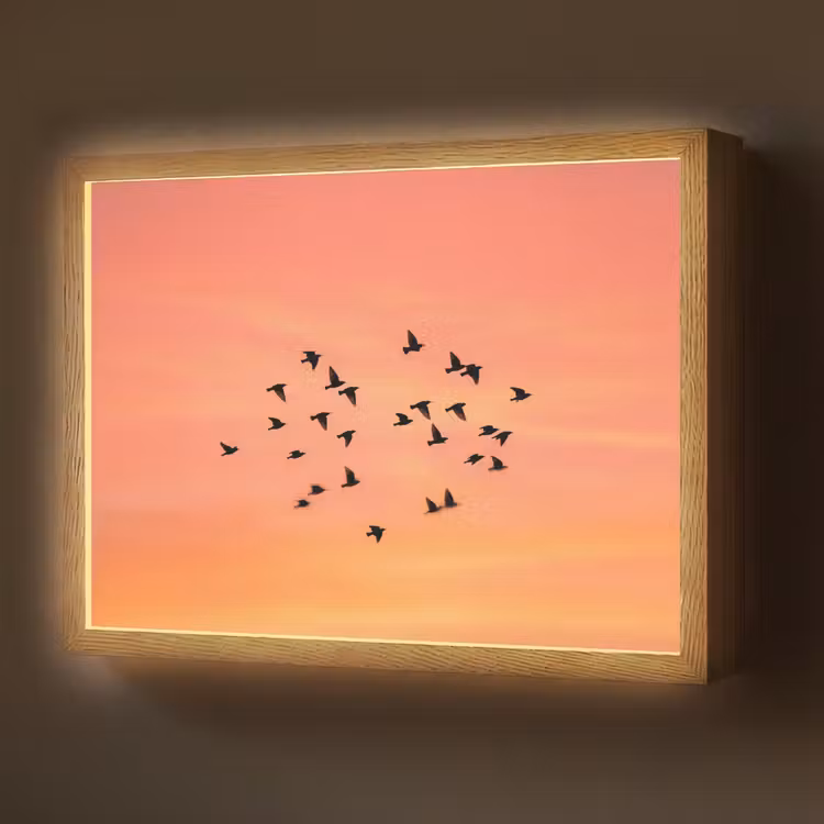 Zwerm - Vogels - Oranje Light Box met batterij (Wandlamp) middel -z3d_website