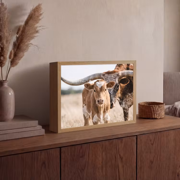 Texas Longhorn - Kalf - Weide - Dieren Light Box met batterij (Wandlamp) middel -sfeer2
