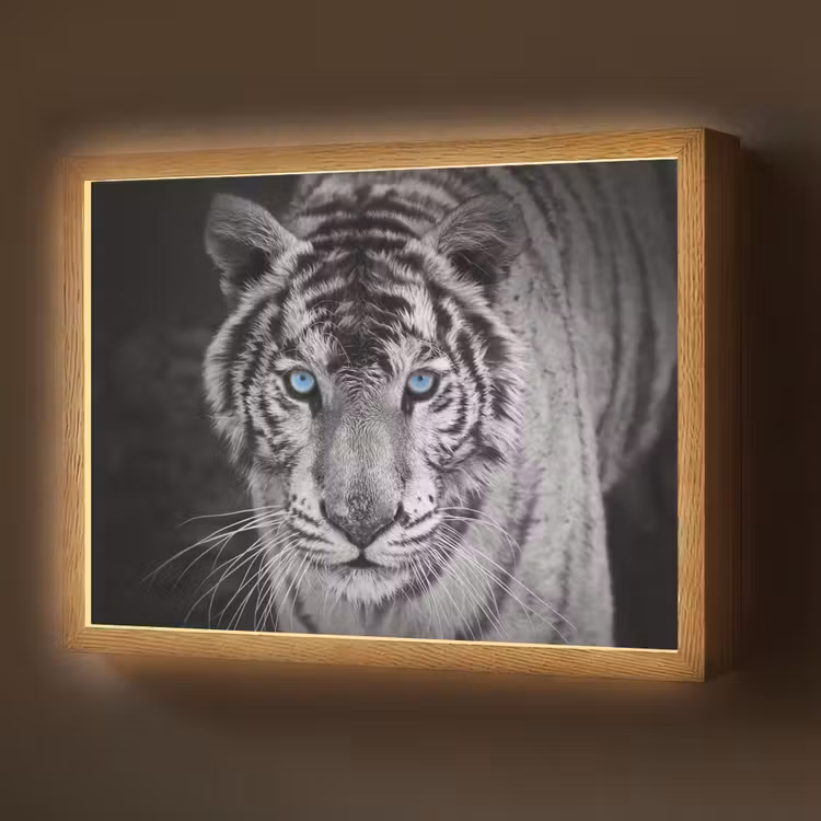 Tijger - Dier - Zwart - Blauw - Modern Light Box met batterij (Wandlamp) middel -z3d_website
