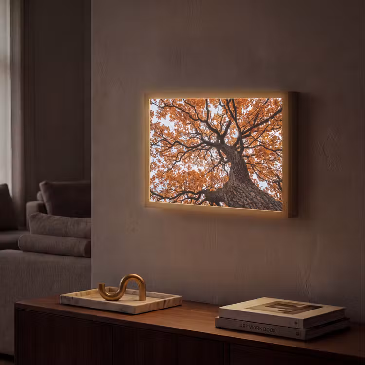 Boom - Bladerdak - Herfst - Oranje - Sfeervol Light Box met batterij (Wandlamp) middel -sfeer1