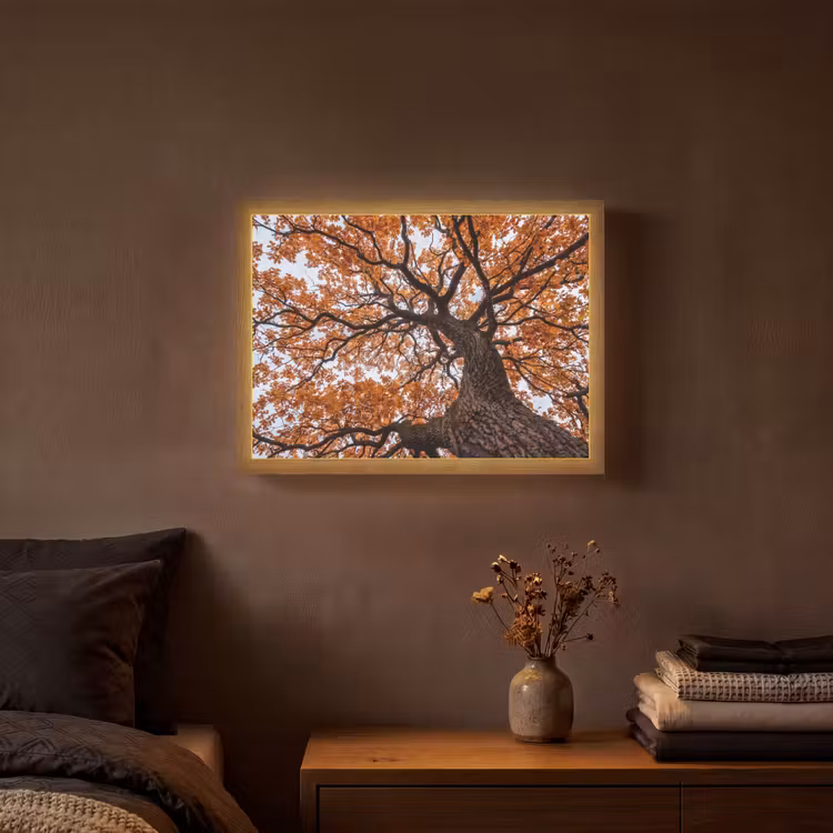 Boom - Bladerdak - Herfst - Oranje - Sfeervol Light Box met batterij (Wandlamp) middel -sfeer4