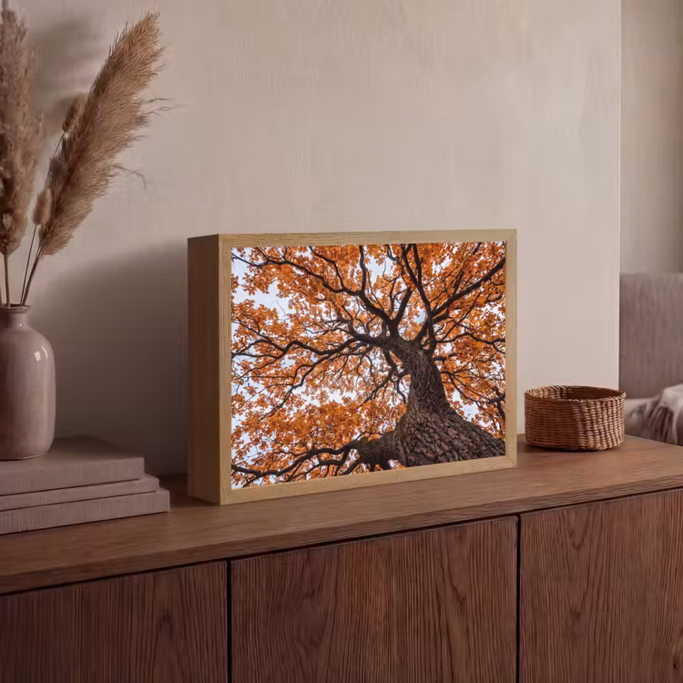 Boom - Bladerdak - Herfst - Oranje - Sfeervol Light Box met batterij (Wandlamp) middel -sfeer2