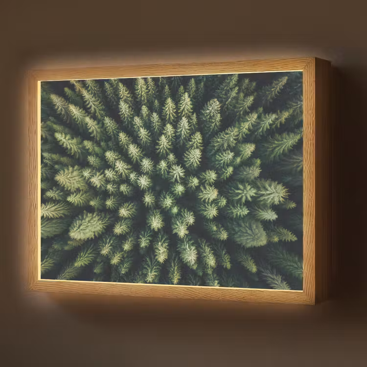 Bomen - Naaldwoud - Structuur Light Box met batterij (Wandlamp) middel -z3d_website