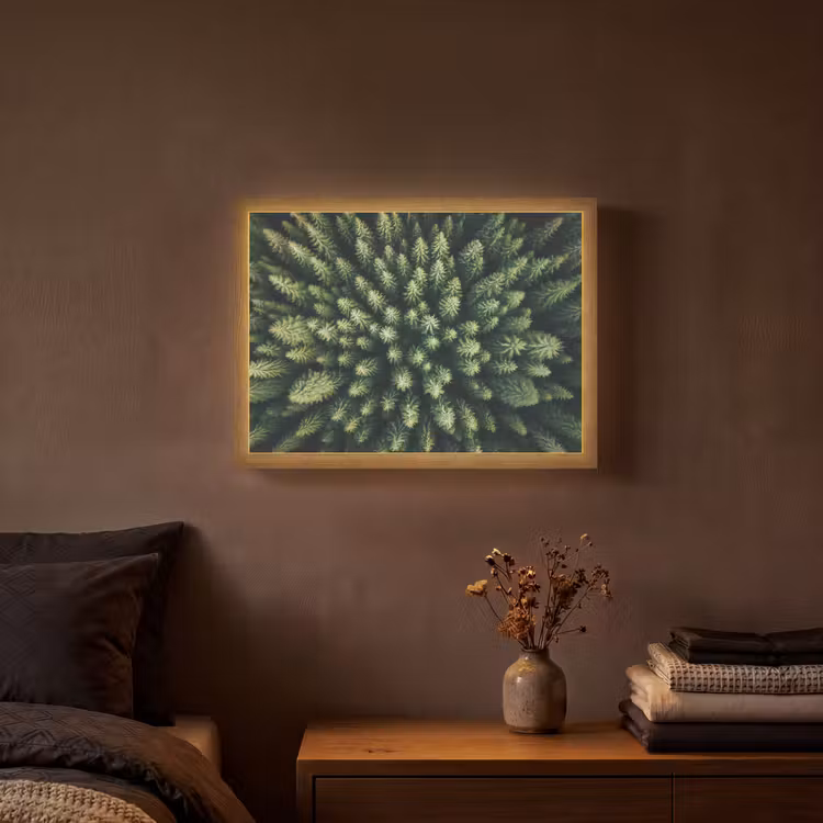 Bomen - Naaldwoud - Structuur Light Box met batterij (Wandlamp) middel -sfeer4