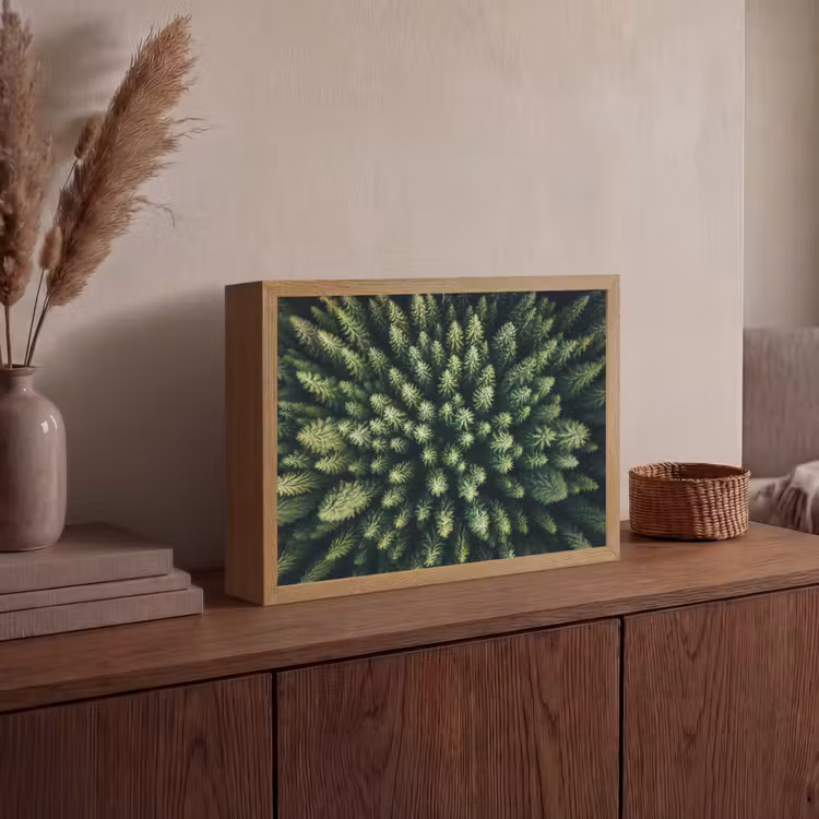 Bomen - Naaldwoud - Structuur Light Box met batterij (Wandlamp) middel -sfeer2