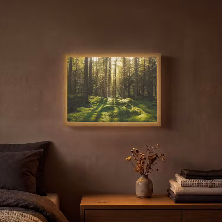 Bomen - Bos - Mos - Planten - Zon - Natuur Light Box met batterij (Wandlamp) middel -sfeer4