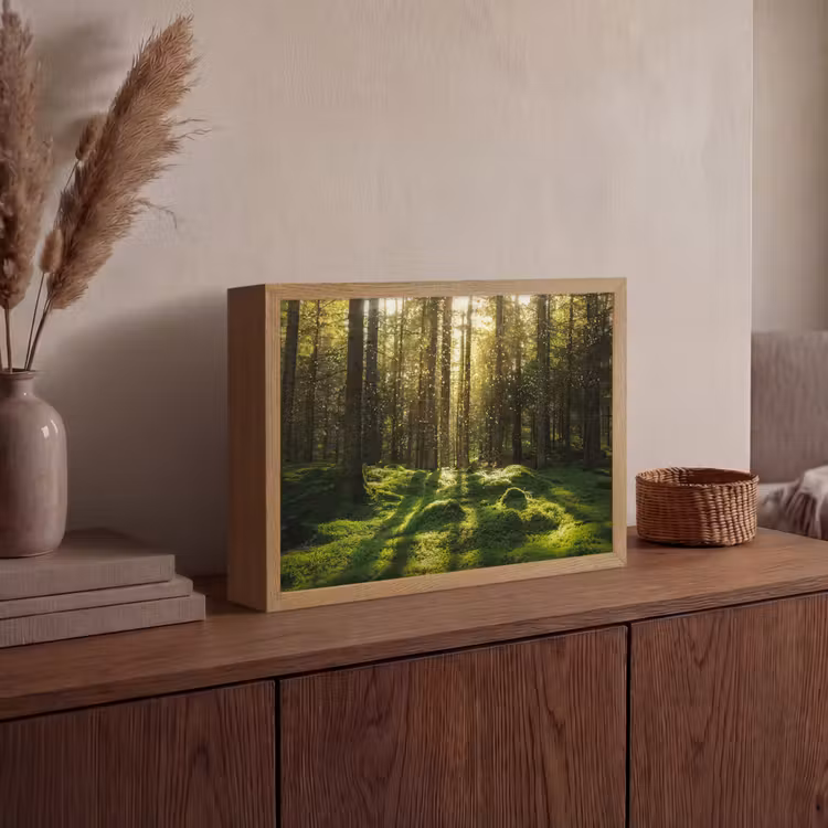 Bomen - Bos - Mos - Planten - Zon - Natuur Light Box met batterij (Wandlamp) middel -sfeer2