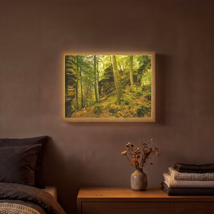 Bomen - Steen - Bos - Natuur - Planten Light Box met batterij (Wandlamp) middel -sfeer4