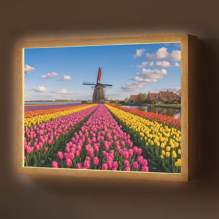 Tulpen - Holland - Molen - Kleurrijk Light Box met batterij (Wandlamp) middel -z3d_website