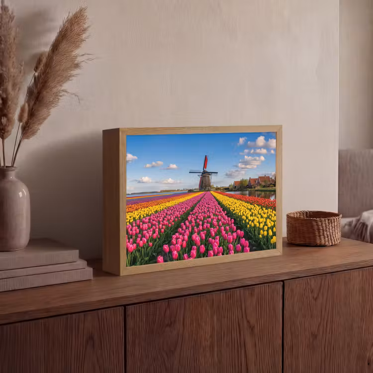 Tulpen - Holland - Molen - Kleurrijk Light Box met batterij (Wandlamp) middel -sfeer2