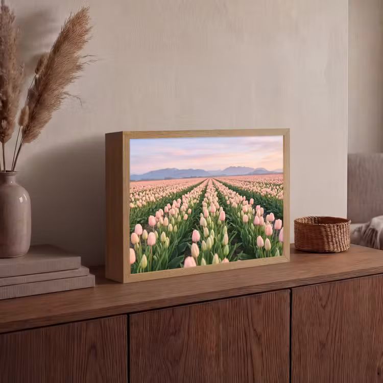 Tulpen - Landschap - Roze Light Box met batterij (Wandlamp) middel -sfeer2