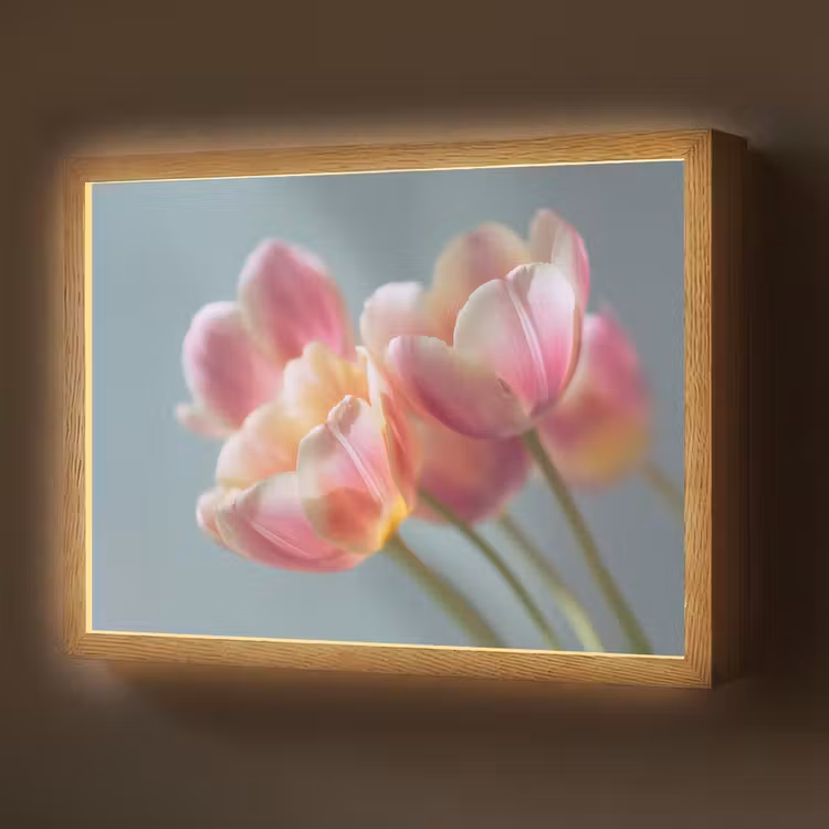 Tulpen - Roze - Stelen Light Box met batterij (Wandlamp) middel -z3d_website