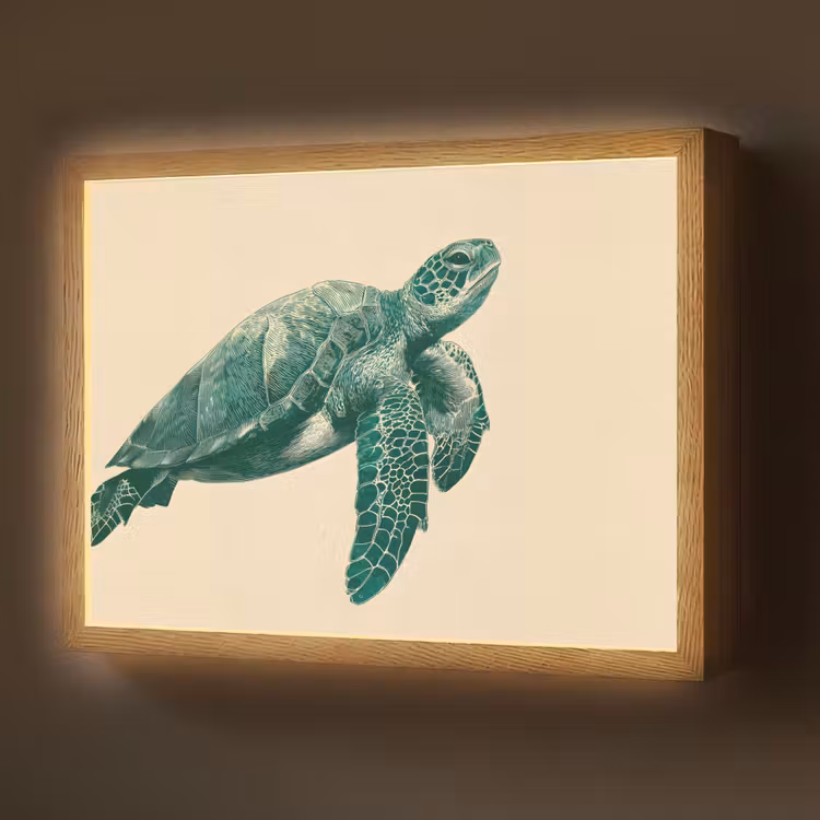 Schildpad - Sierlijk - Groen - Schild Light Box met batterij (Wandlamp) middel -z3d_website