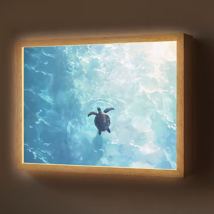 Schildpad - Zee - Blauw - Schittering Light Box met batterij (Wandlamp) middel -z3d_website