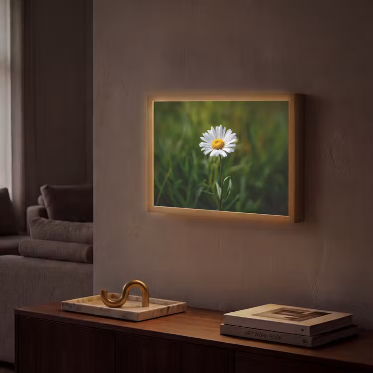 Wit - Madeliefje - Bloem - Gras Light Box met batterij (Wandlamp) middel -sfeer1