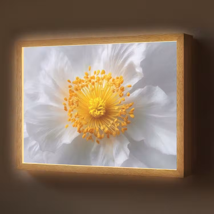 Wit - Bloem - Elegant Light Box met batterij (Wandlamp) middel -z3d_website