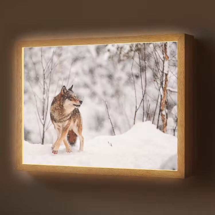 Wolf - Winter - Sneeuw - Natuur - Dieren Light Box met batterij (Wandlamp) middel -z3d_website