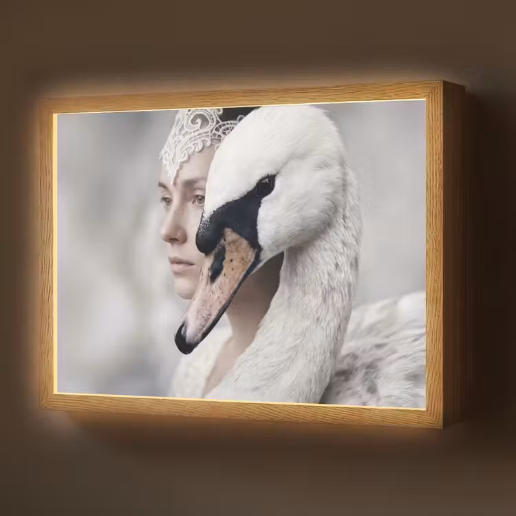 Vrouw - Zwaan - Wit Light Box met batterij (Wandlamp) middel -z3d_website