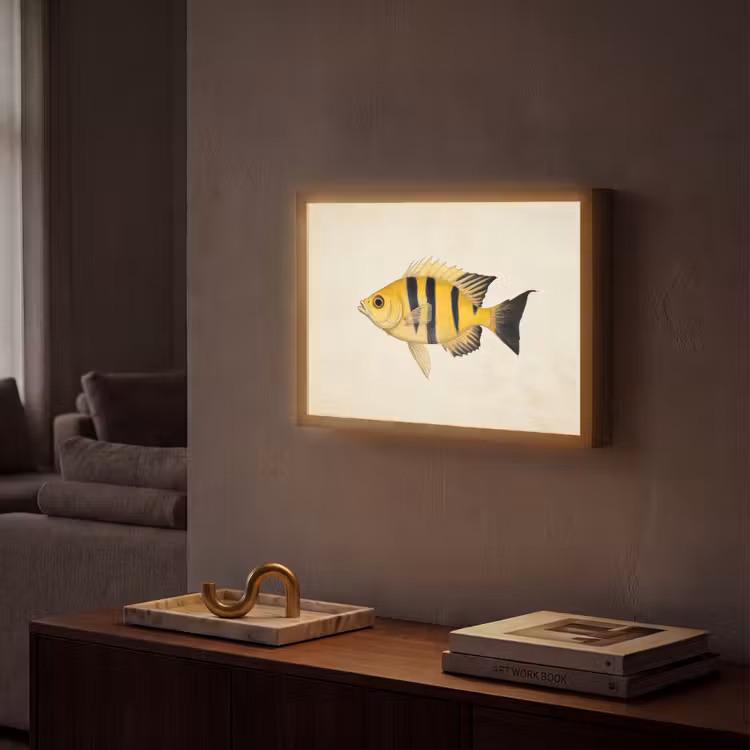 Geel - Vis - Strepen - Tropisch Light Box met batterij (Wandlamp) middel -sfeer1