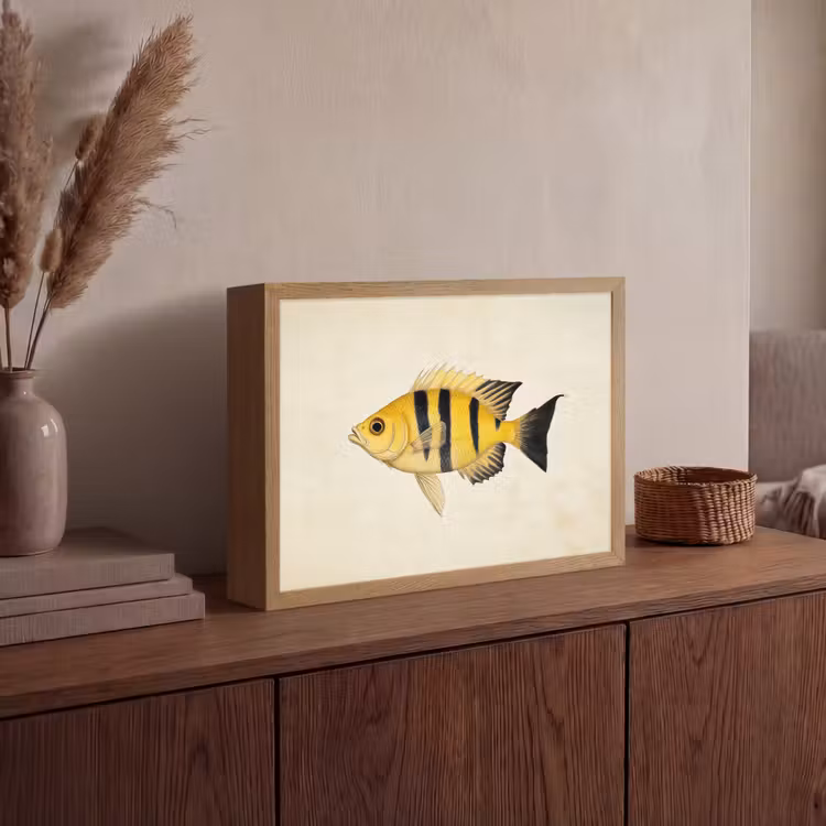 Geel - Vis - Strepen - Tropisch Light Box met batterij (Wandlamp) middel -sfeer2