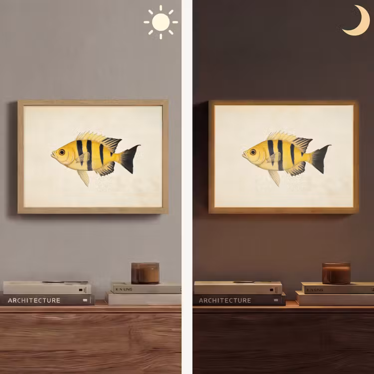 Geel - Vis - Strepen - Tropisch Light Box met batterij (Wandlamp) middel -sfeer3