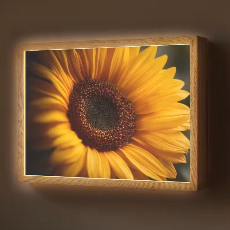 Geel - Zonnebloem - Zomers Light Box met batterij (Wandlamp) middel -z3d_website