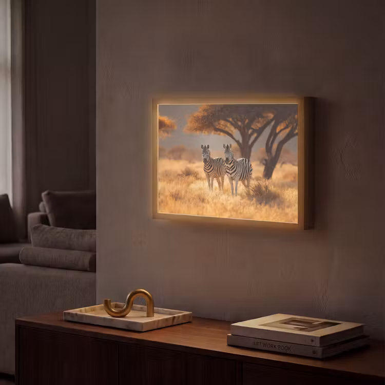Zebra's - Savannelandschap - Gras Light Box met batterij (Wandlamp) middel -sfeer1