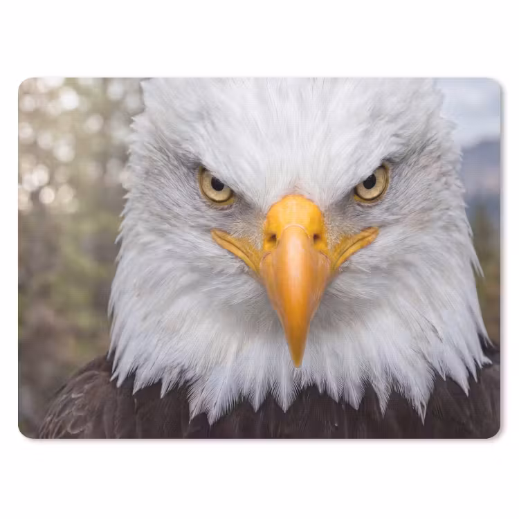 Amerikaans - Zeearend - Portret - Geel muismat rubber klein -3d