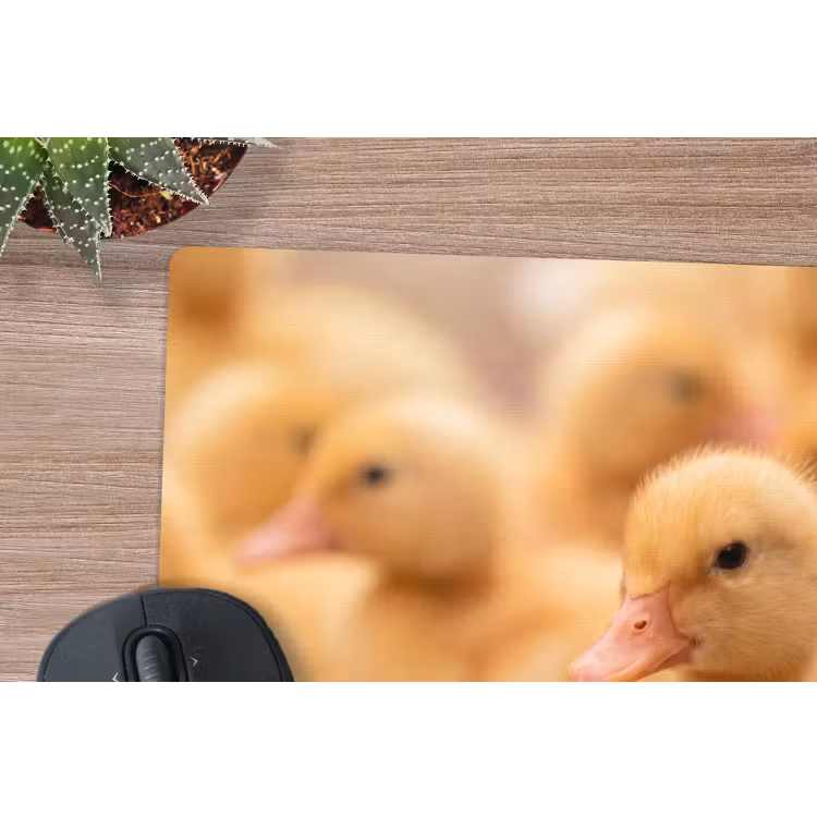 Pijltje - Eend - Natuur - Geel muismat rubber klein -closeup