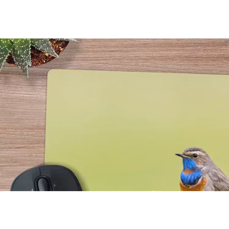 Vogel - Tak - Natuur - Kleurrijk muismat rubber klein -closeup