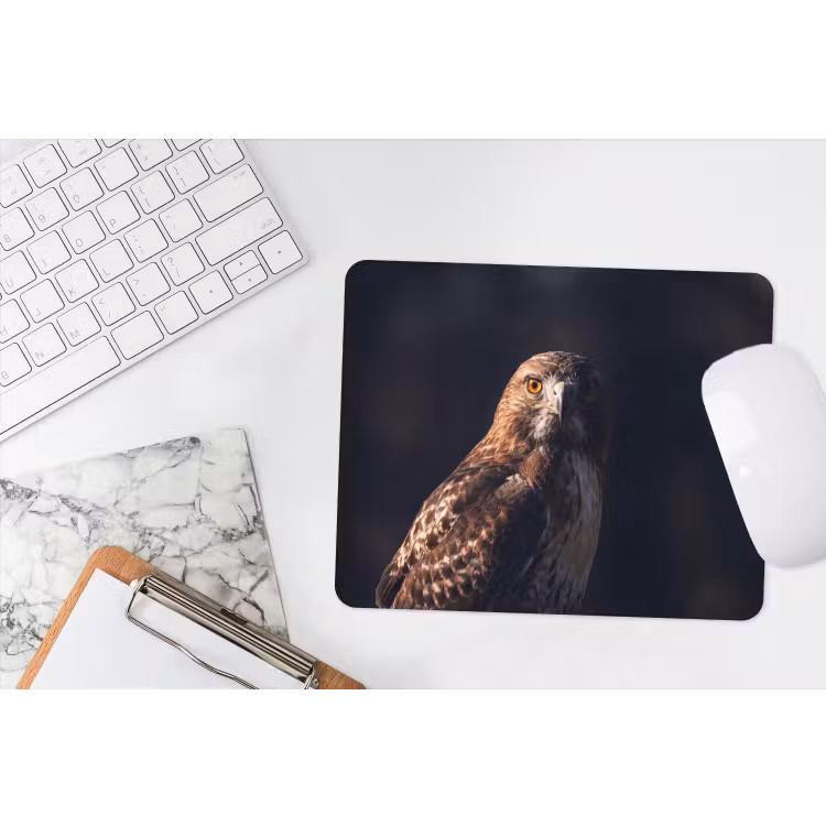 Roofvogel - Buizerd - Bruin muismat rubber klein -witbureau
