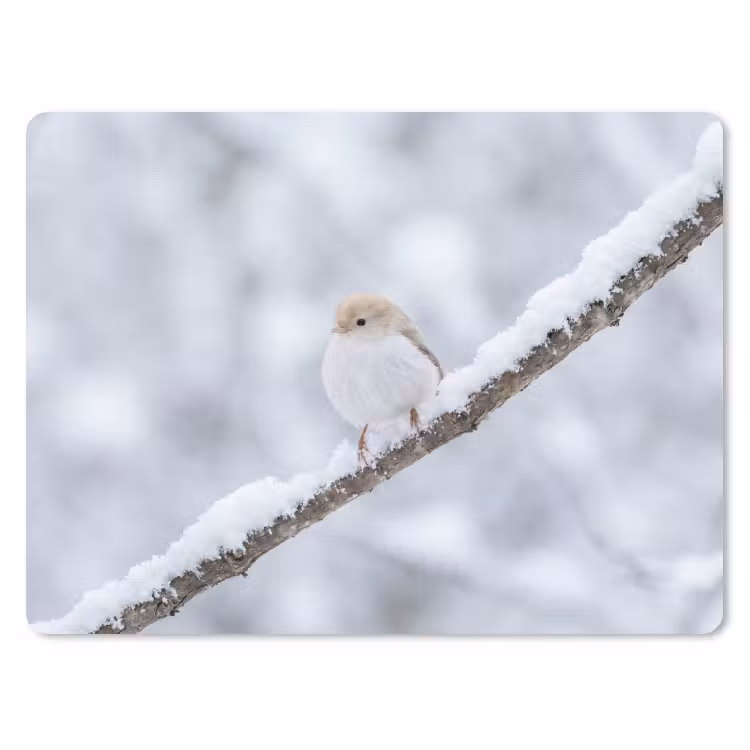 Vogeltje - Sneeuw - Tak - Winter - Zacht muismat rubber klein -3d