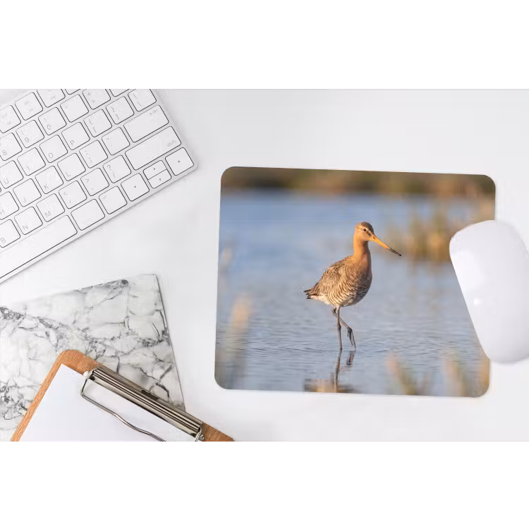 Vogel - Steltloper - Water - Natuur muismat rubber klein -witbureau